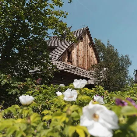 Polana Sosny Niedzica Zamek