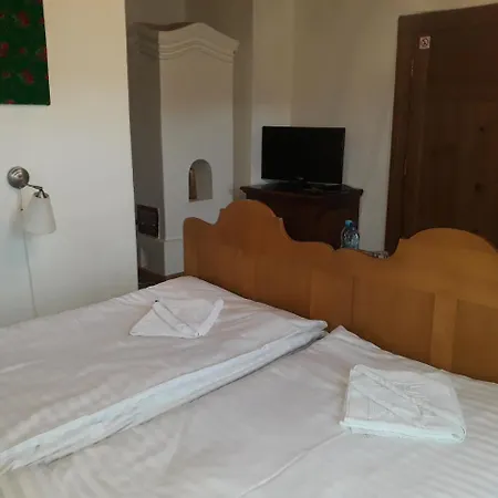 Guest house Polana Sosny *